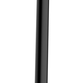 Wiesbaden Caral Douchearm Plafondbevestiging Mat Zwart rond 30cm - 29.2861