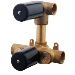 Wiesbaden Inboudeel 2-wegs Douchethermostaat - 29.2500