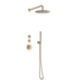 Regendouche set Inbouw Effeze Deluxe Geborsteld Goud 25cm stortdouche