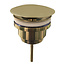 Wiesbaden Afvoerplug Wiesbaden Caral geborsteld Messing 5/4'' - 33.4459