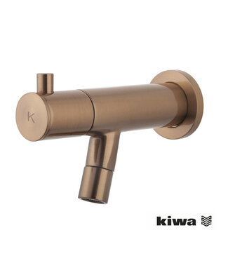 Wiesbaden Wiesbaden Amador Inbouw fonteinkraan Geborsteld brons koper KIWA-keur - 22.6702