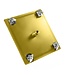 Inbouw Regendouche Plafond 30x30cm Douchekop Mila Geborsteld Goud