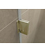 Douchedeur 70x200cm⎢Wiesbaden Less⎢Geborsteld Messing⎢nisdeur 8mm helderglas met nano-coating - 20.3385
