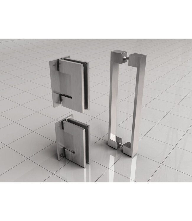 Douchedeur 70x200cm⎢Wiesbaden Less⎢Geborsteld Staal⎢nisdeur 8mm helderglas met nano-coating - 20.3382