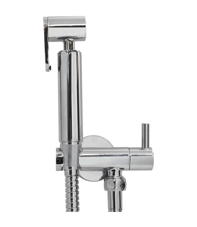 Bidetset met handdouche en doucheslang chroom 1/2" - 29.4305