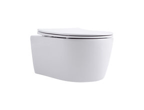 Hangtoilet Pro-Pack Mat Wit Randloos incl. Toiletbril