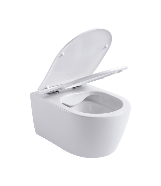 Hangtoilet Pro-Pack Mat Wit Randloos incl. Toiletbril