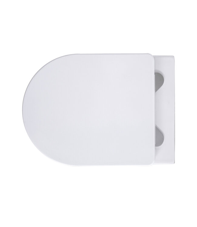 Hangtoilet Pro-Pack Mat Wit Randloos incl. Toiletbril