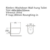 Hangtoilet Pro-Pack Mat Zwart Randloos incl. Toiletbril
