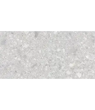 VITRA Vloertegel - Wandtegel 60x120 Natuursteenlook Licht Grijs⎢Vitra Ceppostone R9