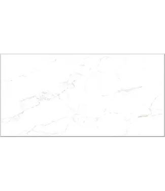 VITRA Vloertegel - Wandtegel 60x120 Marmerlook Wit⎢Vitra City Marble