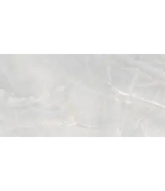 VITRA Vloertegel - Wandtegel 60x120 Marmerlook Licht Grijs⎢Vitra City Marble