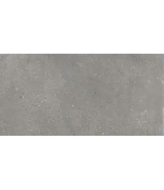 VITRA Vloertegel - Wandtegel 60x120 Natuursteen look donker Grijs⎢Vitra Flakestone