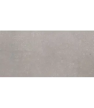 VITRA Vloertegel - Wandtegel 60x120 Natuursteen look Grijs⎢Vitra Flakestone