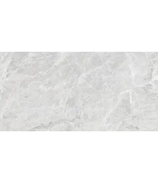 VITRA Vloertegel - Wandtegel 60x120 Licht Grijs⎢Vitra Marmostone