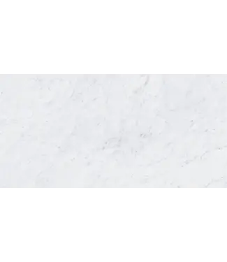 VITRA Vloertegel - Wandtegel 60x120 Carrara Wit R10A⎢Vitra Marmori