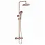 VITRA Doucheset opbouw Vitra AquaHeat Bliss Koper Rosé Compleet - Ø24cm Hoofddouche met standen