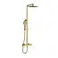 VITRA Doucheset opbouw Vitra AquaHeat Bliss-S Goud Compleet - 24cm vierkante Hoofddouche