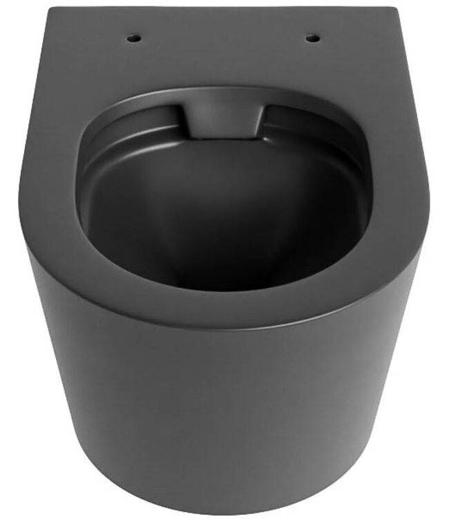 Hangend toilet Randloos LAVIE Mat Antraciet excl. Wc bril