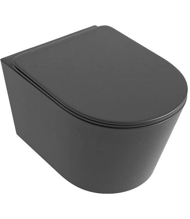 Hangend toilet Randloos LAVIE Mat Antraciet excl. Wc bril
