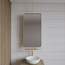 GLISS DESIGN Spiegel Gliss Astra Mat Goud 100x50cm met planchet en plafondbevestiging