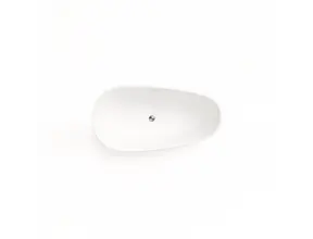 Vrijstaand bad Elips Glans Wit 170x80x58cm acryl met waste en overloop