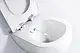 Welke inbouwreservoirs voor een toilet met bidet?