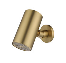 Hoofddouche UniMatch Beam Geborsteld messing rond 1 stand met muurbevestiging PVD - 29.7823