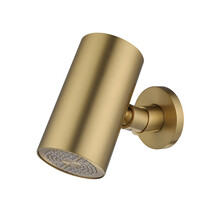 Hoofddouche UniMatch Beam Geborsteld messing rond 1 stand met muurbevestiging PVD - 29.7823