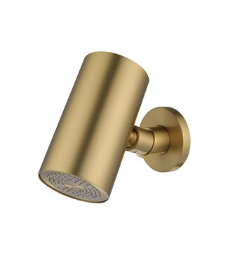 Wiesbaden Hoofddouche UniMatch Beam Geborsteld messing rond 1 stand met muurbevestiging PVD - 29.7823