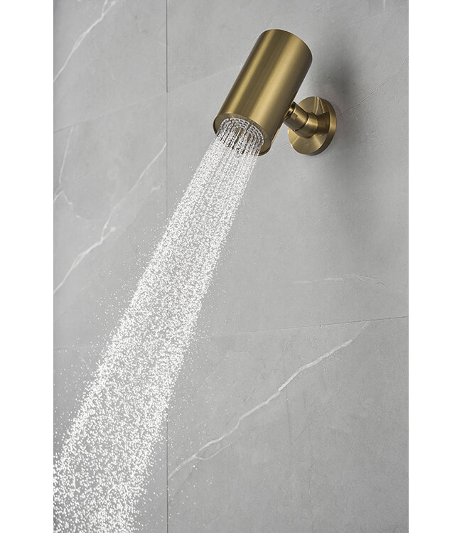 Hoofddouche UniMatch Beam Geborsteld messing rond 1 stand met muurbevestiging PVD - 29.7823