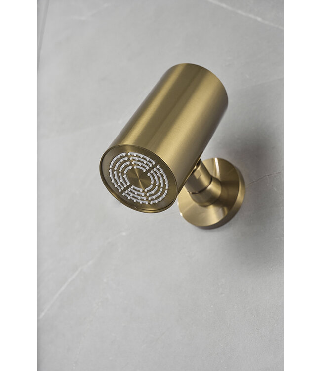 Hoofddouche UniMatch Beam Geborsteld messing rond 1 stand met muurbevestiging PVD - 29.7823