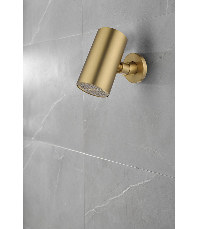 Hoofddouche UniMatch Beam Geborsteld messing rond 1 stand met muurbevestiging PVD - 29.7823