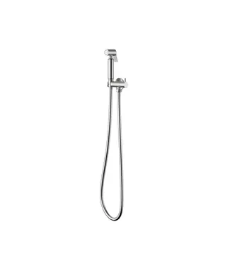 DutchLine Bidetset met handdouche Lucci Geborsteld Staal met handdouche en doucheslang 1/2"