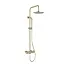 Wiesbaden Regendoucheset Opbouw Grip Geborsteld Messing / Goud 30cm hoofddouche