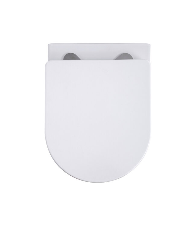 Randloos Hangtoilet Pro-Pack Turbo-Flush Mat Wit 49cm incl. Toiletbril