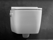Hangtoilet TECENEO met bidet Koud Geïntegreerde bidetkraan Randloos Wit 54cm incl. Wc-bril Slim