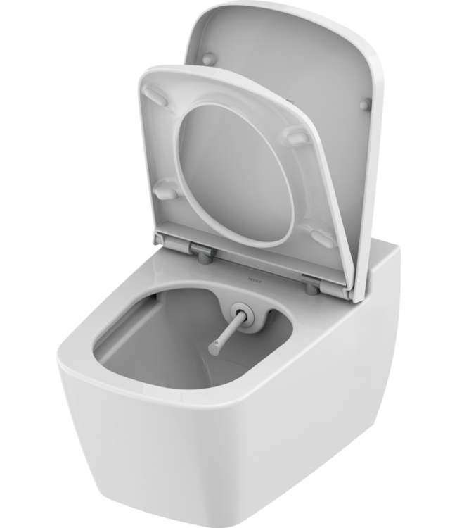 Hangtoilet TECENEO met bidet Koud Geïntegreerde bidetkraan Randloos Wit 54cm incl. Wc-bril Slim