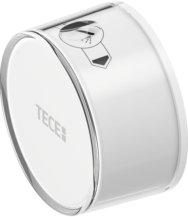 Hangtoilet TECENEO met bidet Koud Geïntegreerde bidetkraan Randloos Wit 54cm incl. Wc-bril Slim