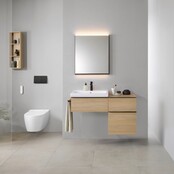 Douchewc Geberit AquaClean Sela - alpine wit