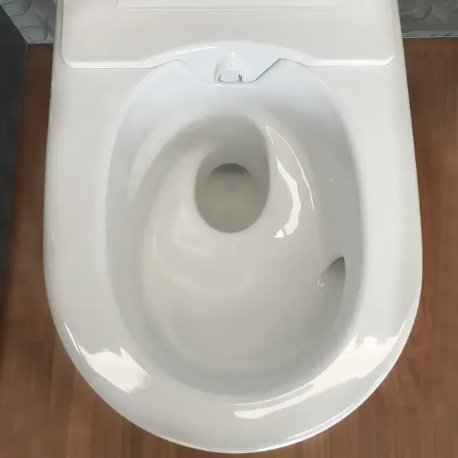 Douchewc Geberit AquaClean Sela chroom afdekplaat - alpine wit