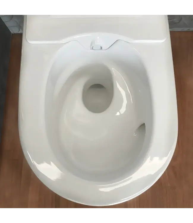 Douchewc Geberit AquaClean Sela chroom afdekplaat - alpine wit