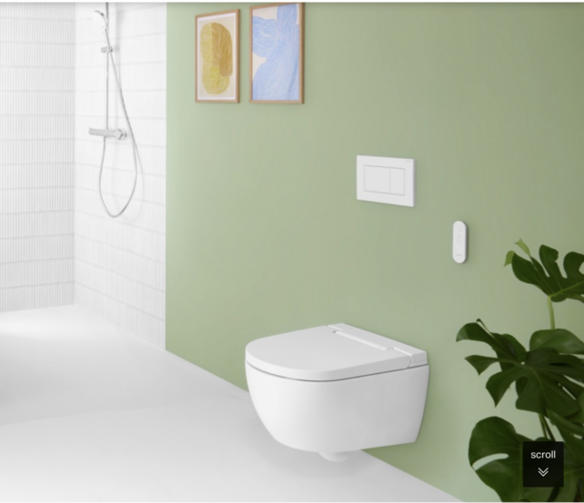 Douchewc Geberit AquaClean Alba Alphine Wit afdekplaat