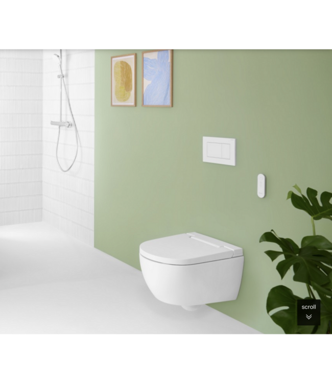 Douchewc Geberit AquaClean Alba Alphine Wit afdekplaat