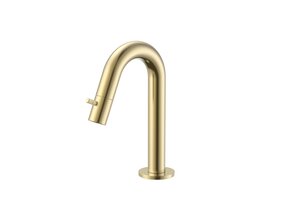 Fonteinkraan Geborsteld Goud Stria PVD-Coating Opbouw G1/2