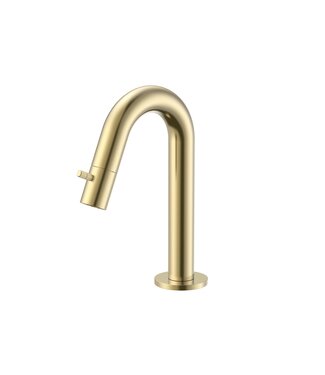 ALONI Fonteinkraan Geborsteld Goud Stria PVD-Coating Opbouw G1/2