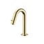 ALONI Fonteinkraan Geborsteld Goud Stria PVD-Coating Opbouw G1/2