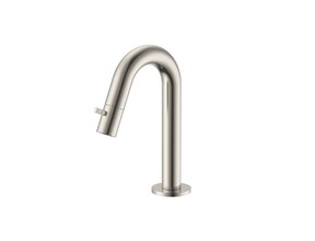 Fonteinkraan Geborsteld RVS Stria Opbouw G1/2"