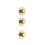 ALONI Afbouwdeel Aloni STRIA Geborsteld Goud (PVD-Gecoat) 2-weg inbouw douche thermostaat