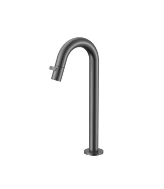 DutchLine Fonteinkraan Hoog Dutchline Round XL 30cm – Gunmetal